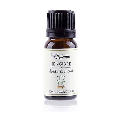 Labiatae Organic Ginger Essential Oil 12 ml of essential oil (Ginger) on Productcaster.