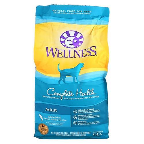 Wellness Whitefish Dog Food Sweet Potato, 5 Lbs (Case of 3) (Pack of 1) on Productcaster.