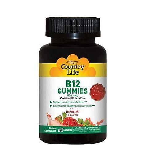 Country Life B12 Gummies, 120 Count (Pack of 1) on Productcaster.