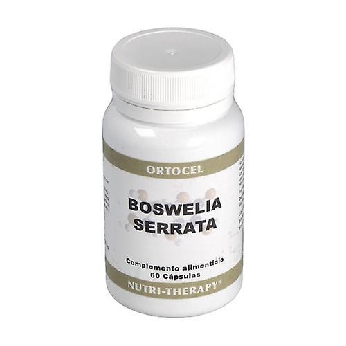 Ortocel Nutri Therapy Boswellia 60 kapsler on Productcaster.