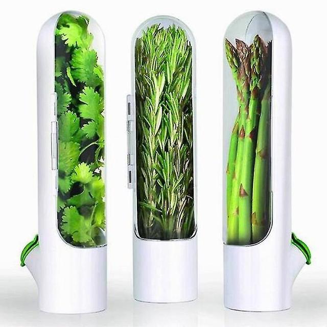 Xrelv Herb Saver Premium Herb Storage Container Keeps Greens Vegetables Fresh 3pcs on Productcaster.