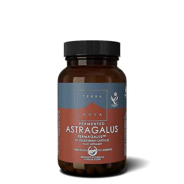 Terra Nova Terranova Fermented Astragalus Fermagalus Capsules 50 (T4781) on Productcaster.