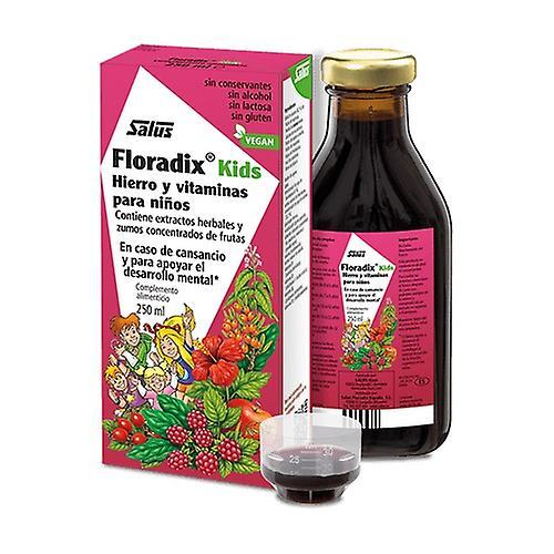 Salus Floradix detské železo a vitamíny 250 ml on Productcaster.