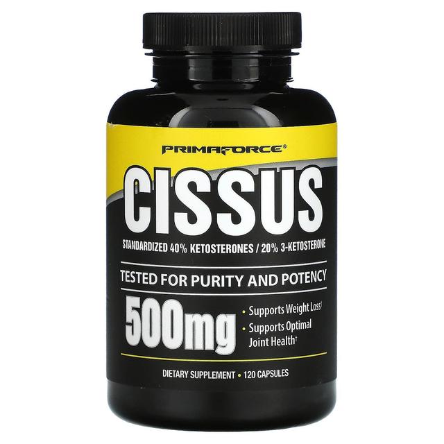 Primaforce, Cissus, 500 mg, 120 Capsules on Productcaster.