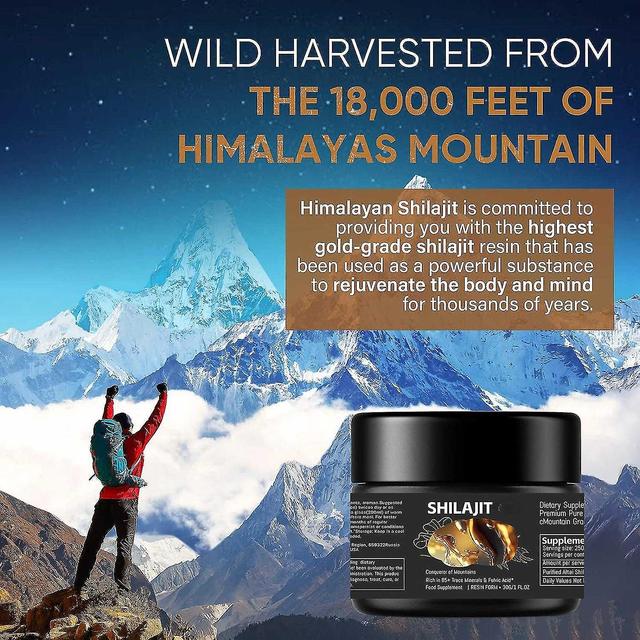 Pure 100% Himalayan Shilajit, Soft Shilajit Resin, Extremely Potent, Fulvic Acid Himalayan Shilajit 2pcs on Productcaster.