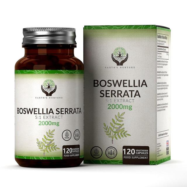 Boswellia Serrata Extrakt 2000mg 120 Kapsule 1 Bottle (120 Capsules) on Productcaster.