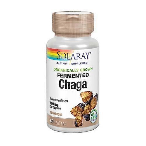 Solaray Fermented Chaga, 500 mg, 60 Veg Caps (Pack of 1) on Productcaster.