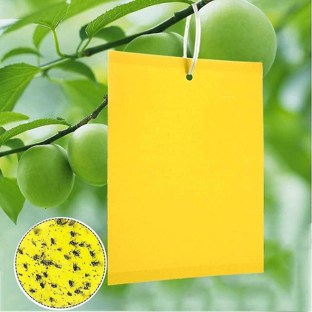 100pcs Yellow Fly Trap Professional For Cherry Raspberry Nectarine Plum Apple Pineapple Treegrape Vine on Productcaster.