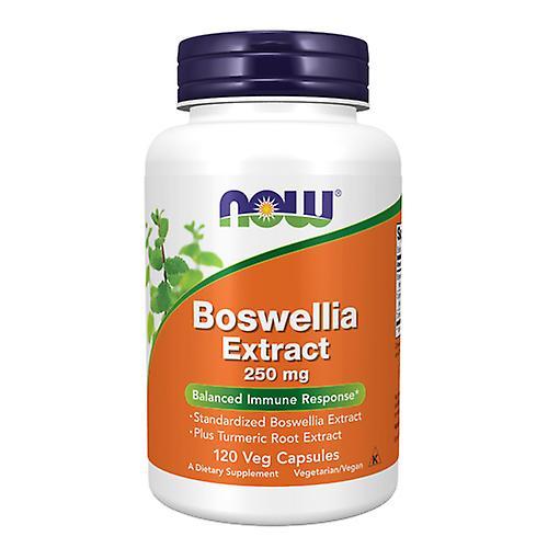 Now Foods Boswellia Extract,250 mg,120 Caps (Opakowanie 4) on Productcaster.