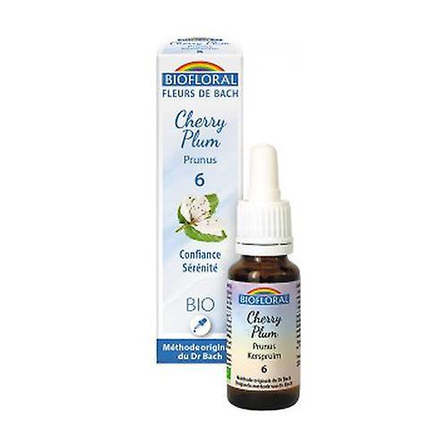 Biofloral Cherry Plum 20 ml of floral elixir on Productcaster.