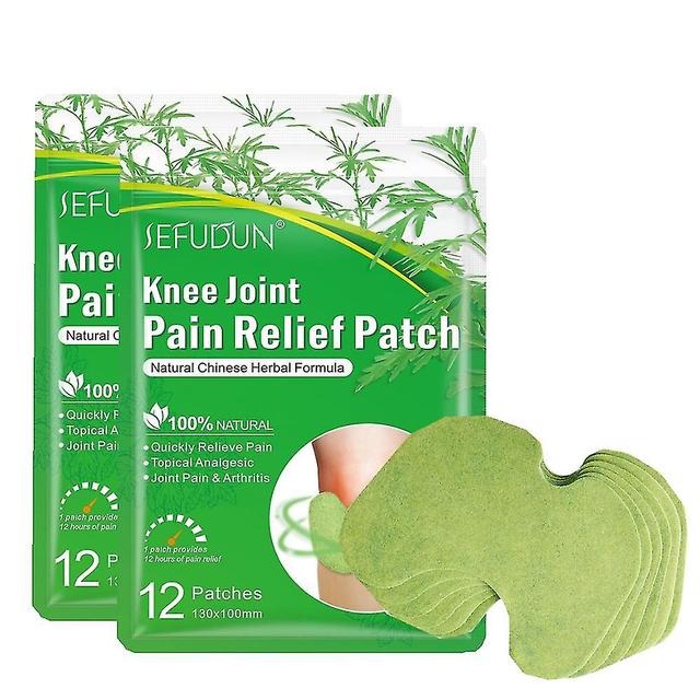 Lgigi 24pcs Knee Joint Pain Plaster Chinese Wormwood Extract Sticker For Ache Arthritis Rheumatoid Relief Patch on Productcaster.