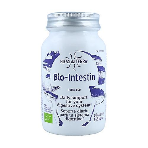 Hifas Da Terra Bio-Intestin 60 kasviskapselia 668mg on Productcaster.