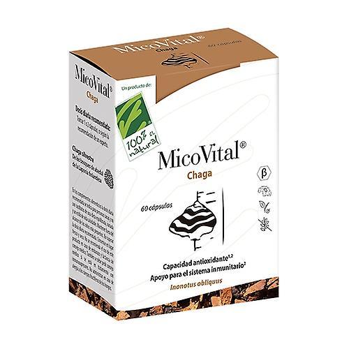 100% Natural MicoVital Chaga 60 capsules on Productcaster.