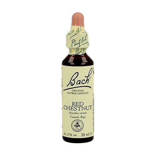 Bach Flower Essences 25 - Punainen Kastanja 20 ml kukka eliksiiri on Productcaster.