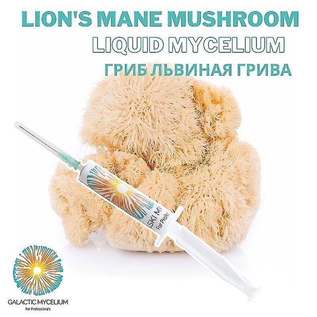 Magene Lion's Mane Mushroom Liquid Culture 5 Cc Liquid Syringes Hericium Erinaceus Liquid Mycelium Gourmet Mushroom Syringes on Productcaster.