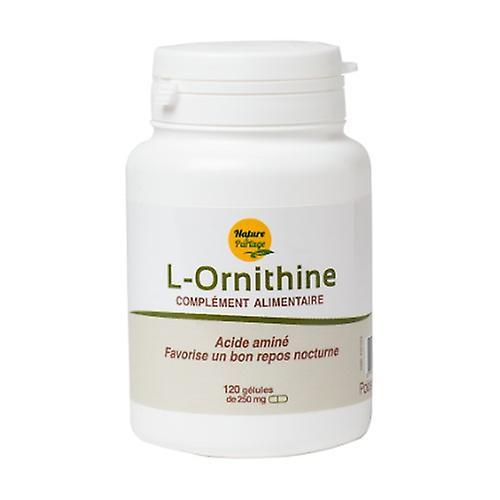 Nature et Partage L-Ornithine 120 kapsúl (250 mg) on Productcaster.