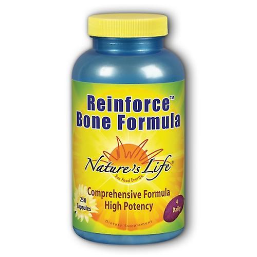 Nature's Life Reinforce Bone Formula, 250 caps (Pack of 6) on Productcaster.