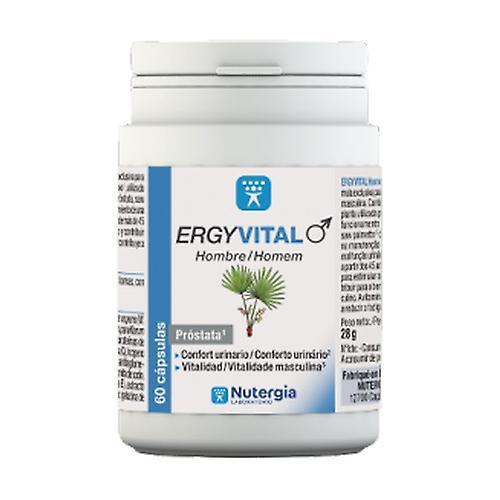 Nutergia Ergyvital man prostate and urinary tract 60 capsules on Productcaster.