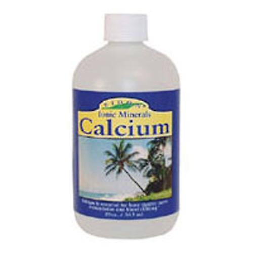 Eidon Ionic Minerals Calcium, 19 oz (Pack of 1) on Productcaster.