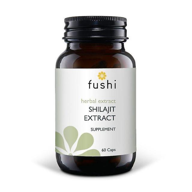 Fushi Wellbeing Fushi välbefinnande Shilajit Wholefood Extrakt 500mg Caps 60 (F0020740) on Productcaster.