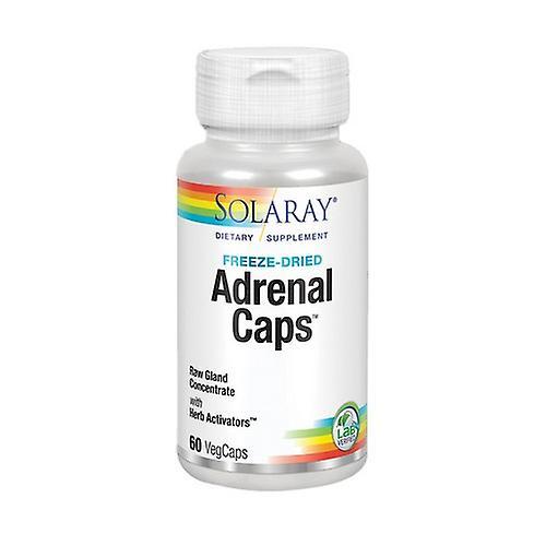 Solaray Adrenal Caps, 60 Caps (Pack of 4) on Productcaster.