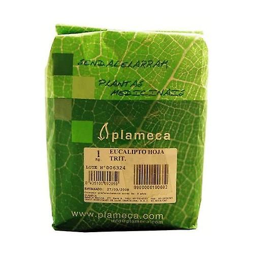 Plameca Strimlet Eukalyptus blade 1 kg on Productcaster.