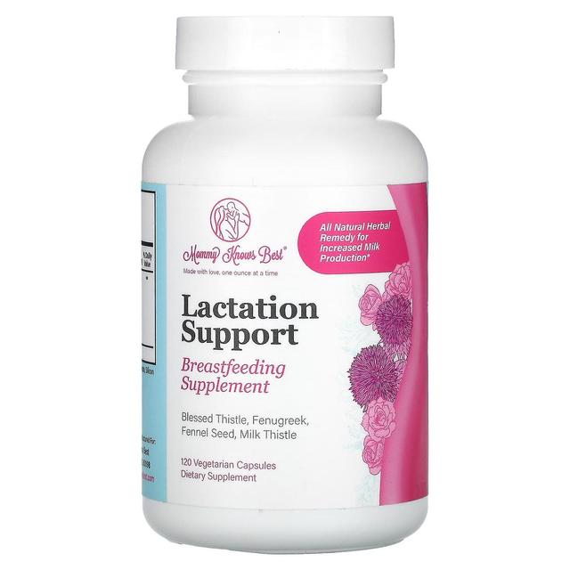 Mommy Knows Best, Lactation Support, 120 Vegetarian Capsules on Productcaster.