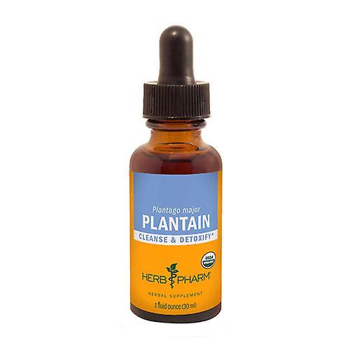 Herb Pharm Plantain Extract, 1 Oz (Pack of 3) on Productcaster.