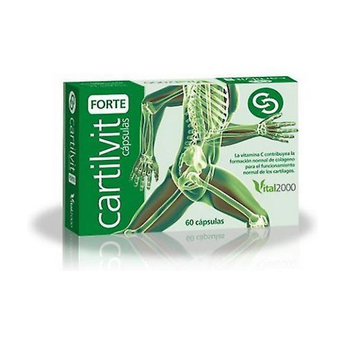 Vital 2000 Cartilvit Forte 60 capsules on Productcaster.