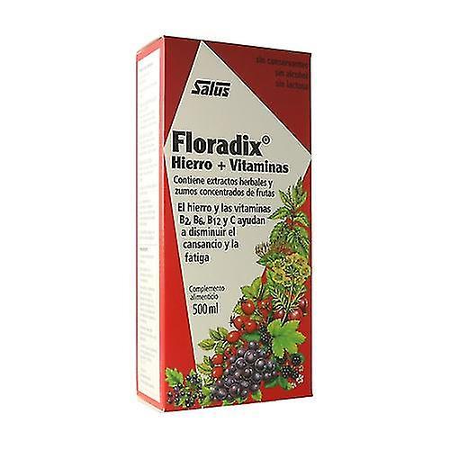 Floradix ijzer 500 ml Zhexin on Productcaster.