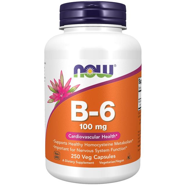 NOW Foods Vitamin B-6 (Pyridoxine HCl) 100 mg 250 Capsules on Productcaster.