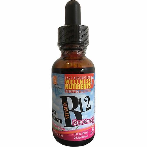 LA Naturals L. A .Naturals Vitamin B12 Cyano,5000 mcg ,1 Oz (Pack of 4) on Productcaster.