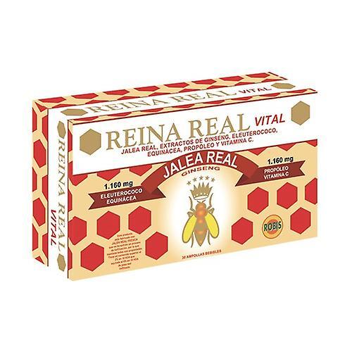 Robis Royal Jelly Queen Vital 30 ampuller on Productcaster.