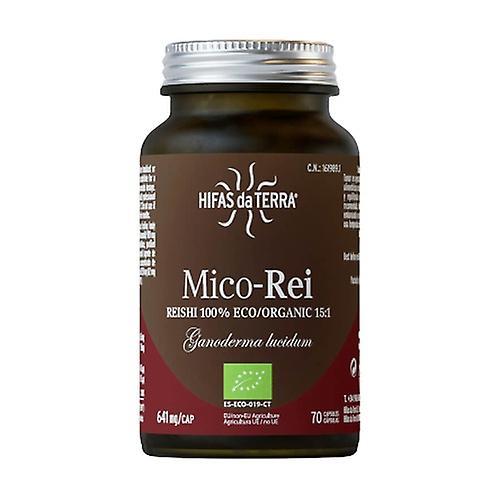 Hifas Da Terra Mico Rei (Ganoderma lucidum) 70 capsules of 641mg on Productcaster.