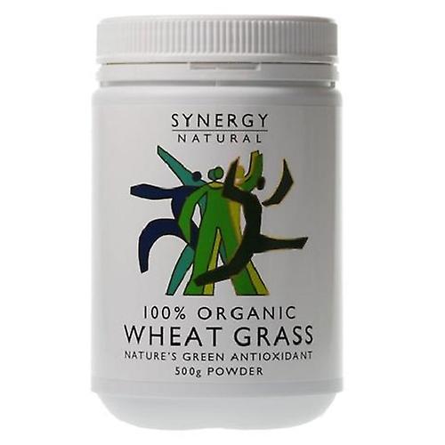 Synergy Natural Organic WheatGrass Leaf Powder, 500g on Productcaster.