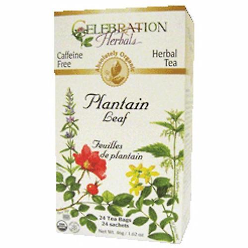 Celebration Herbals Organic Plátano Leaf Tea, 24 bolsas (Pack de 1) on Productcaster.