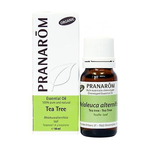 Pranarôm Organic tea tree essential oil 10 ml of essential oil on Productcaster.