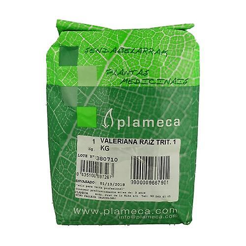 Plameca Shredded Vervain Herb 1 kg on Productcaster.