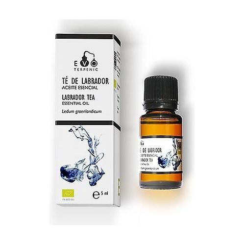 Terpenic Organic Labrador Tea Essential Oil 5 ml of essential oil on Productcaster.