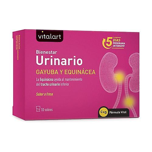 VITALART Urinary Well-Being 10 packets on Productcaster.