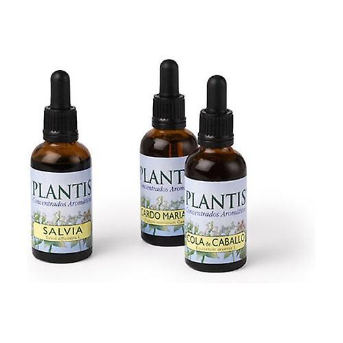 Plantis Extrakcia prasličky roľnej 50 ml on Productcaster.