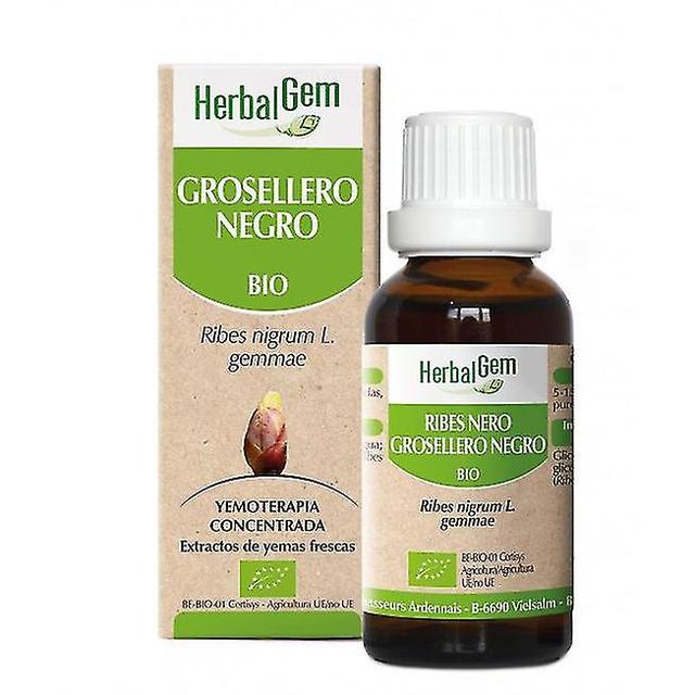 HerbalGem Yemotherapy Black Currant 15Ml Bio on Productcaster.