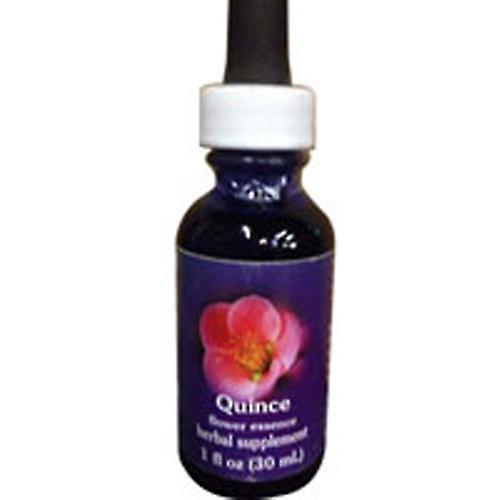 Flower Essence Services Quince Dropper, 0.25 oz (Pack of 1) on Productcaster.