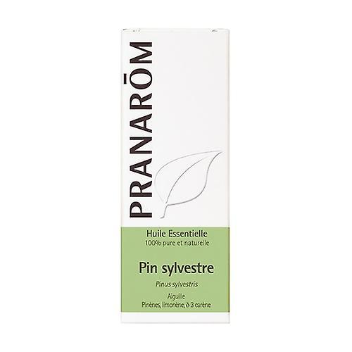 Pranarôm Skotsk fyr æterisk olie (Pinus sulvestris) 10 ml æterisk olie (Duftende træ) on Productcaster.