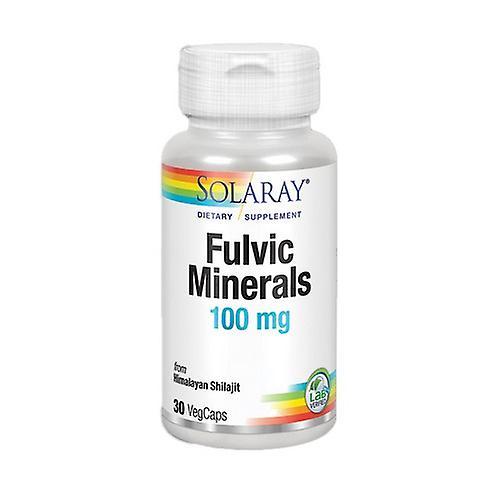 Solaray Fulvic Minerals,100 mg,30 kaps (opakowanie 4 szt.) on Productcaster.