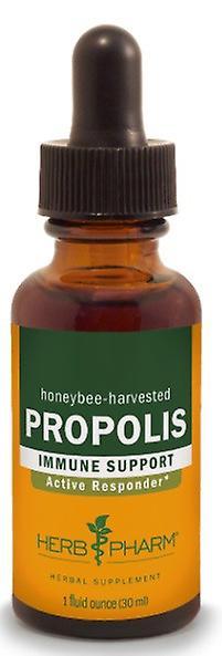 Herb Pharm Bylina Pharm Propolis Extrakt 1 Oz on Productcaster.