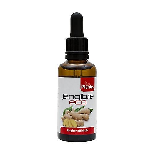 Plantis ECO Ginger Extract 50 ml on Productcaster.