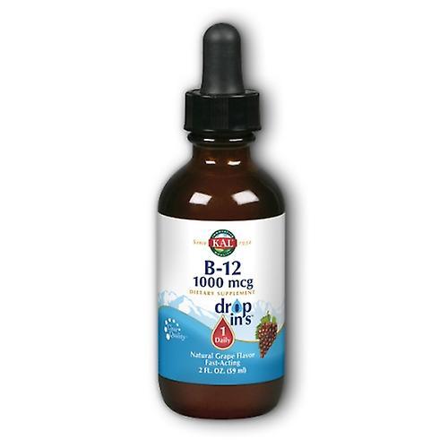 Kal B12 DropIns Vegetarian Drops Grape, 2 Oz (Pack of 1) on Productcaster.