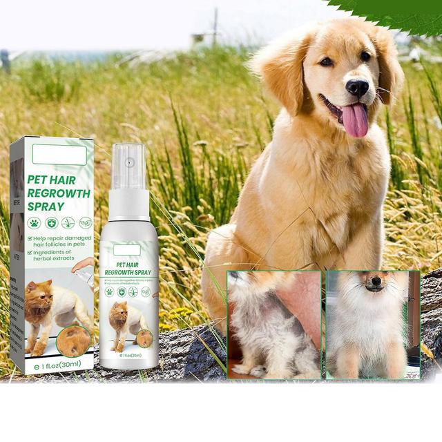 Chicoque Pet Hair Growth Supplements Spray, Faster Hair Regrowth Spray 30ml-2pcs on Productcaster.