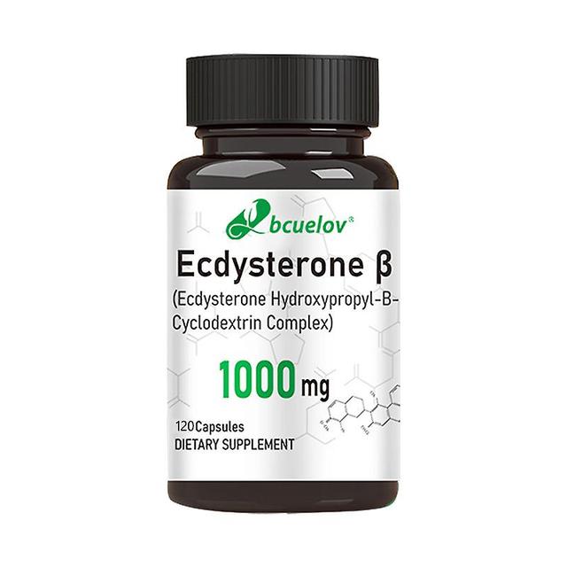 Vorallme Ecdysterone Capsules - Helps Build Muscle Burn Fat & Enhance Men's Health Supports Metabolism Muscle Mass Gain 120 count-1 bottle on Productcaster.